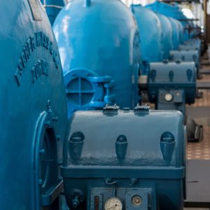 photo-1738918922725-d70c666ddccb