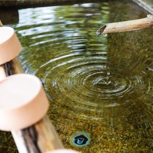 water-purification-at-entrance-of-the-japanese-tem-2025-03-26-03-32-12-utc-min